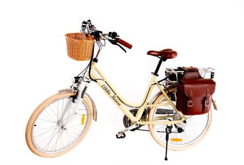Электровелосипед Elbike Monro