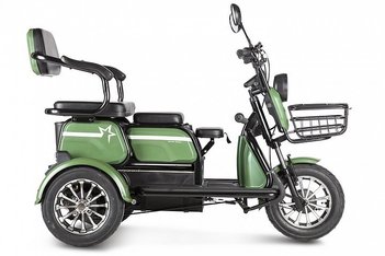 Пассажирский трицикл Rutrike Пилот
