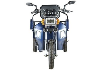 Rutrike D1 1200 60V900W
